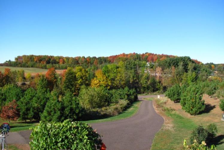 O'NEIL CREEK WINERY FALL COLORS