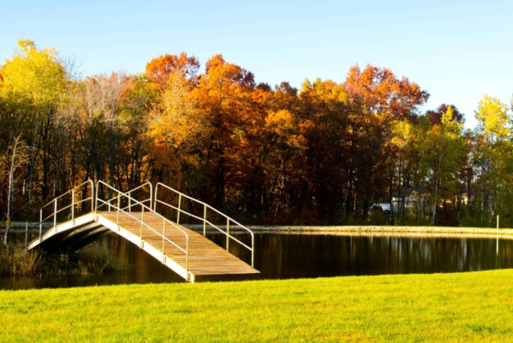 Dixon's Apple Orchard Cadott, WI 54727