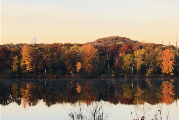 Dell's Pond