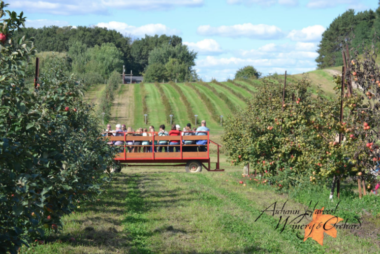 Autumn Harvest Winery Wagon Ride