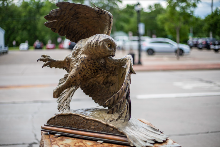 Owl - Sculpture Tour 2020-2021