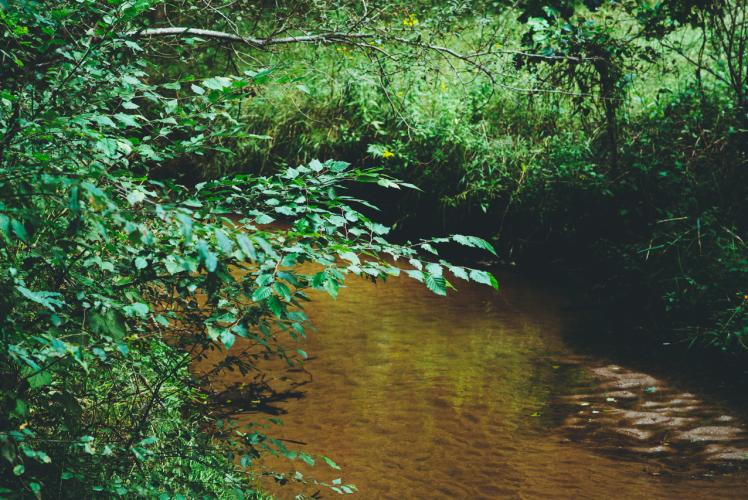 Sherman Neighborhood Park in Eau Claire, Wisconsin