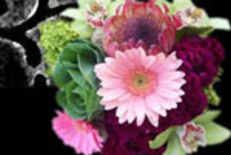 Brent Douglas - Flowers for Everyday