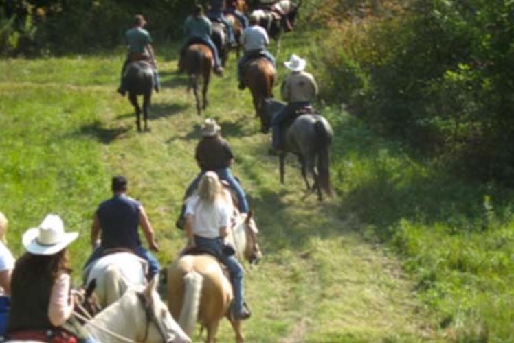 Triple HHH Equestrian In Hillsdale, Wisconsin