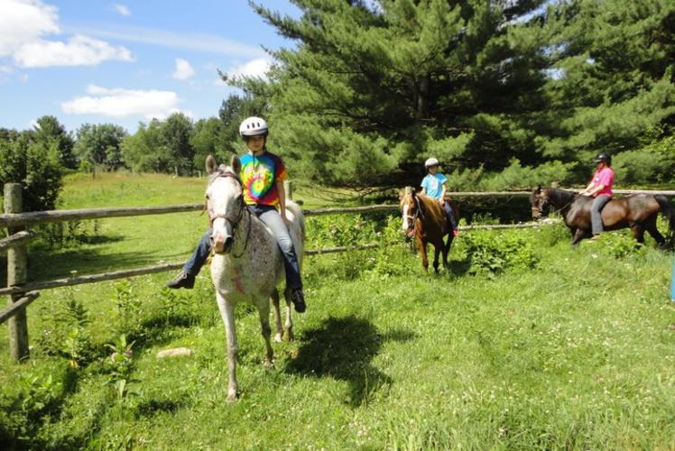 Wildernes Pursuit Horseback Ride