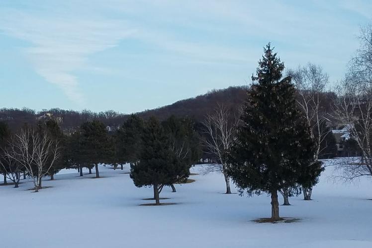 Princeton Valley Golf Course - Winter View