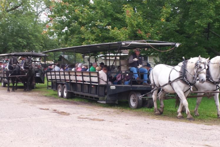 Cabine Ridge Rides - Horse Drawn Wagons