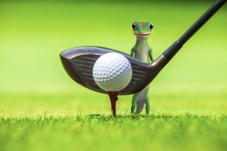 GEICO Gecko posing with golf club and ball