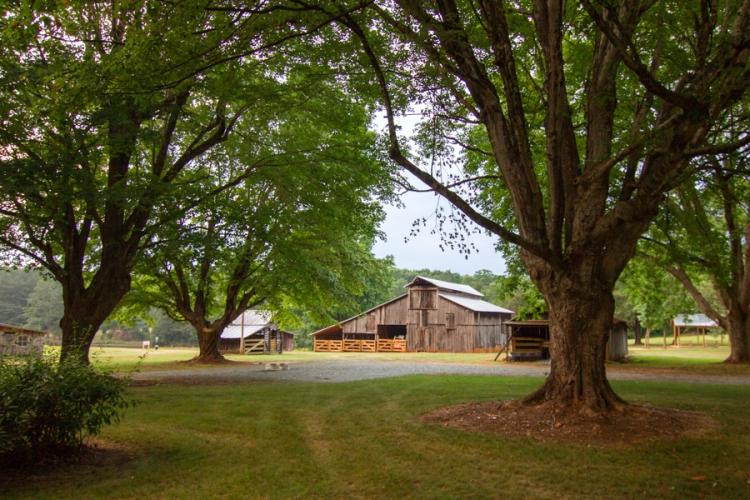 Blackwood Farm Park, Old Barn