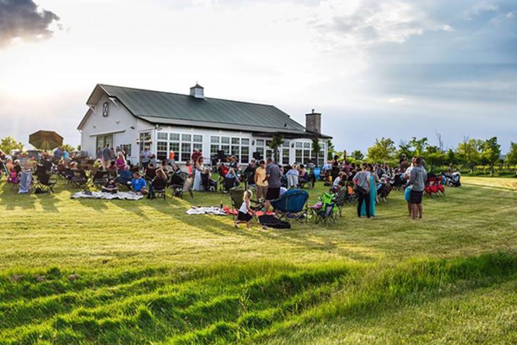 Ledgestone Vineyards