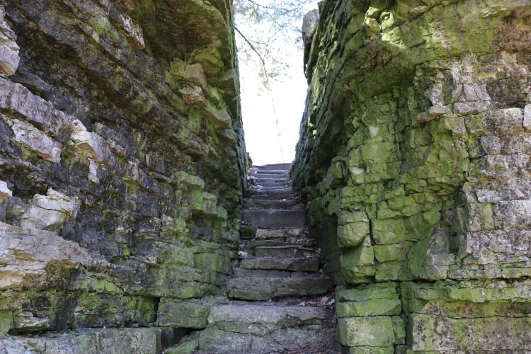 Explore the Scenic Niagara Escarpment in Northeastern Wisconsin