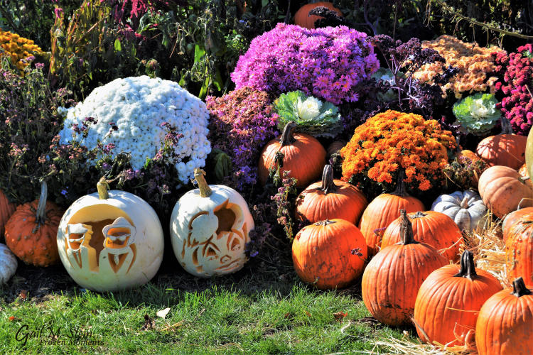Blue Brothers pumpkin
