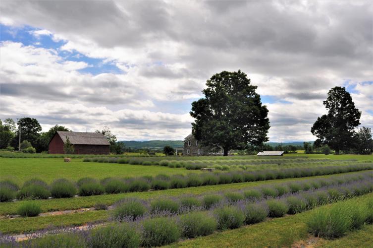Lavenlair Farm view of barn, fields and mountains