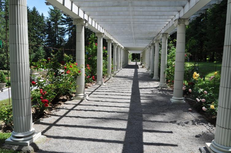 Full long view of the pergola at Yaddo Gardens with roses on both sides.
