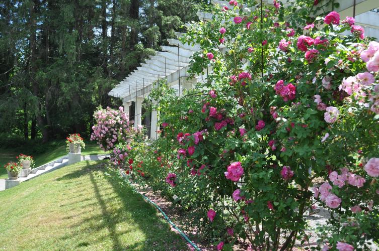 Pergola at Yaddo Gardens view of outer wall with roses.