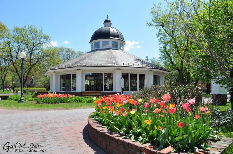 Carousel surrounded by red and yellow tulips under a blue sky