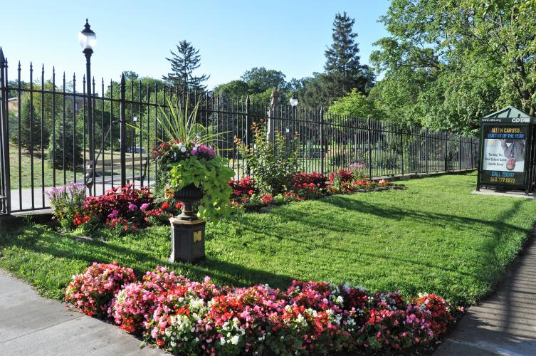 Flowers at Congress Park gate