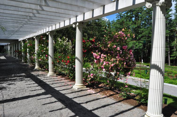 Yaddo pergola