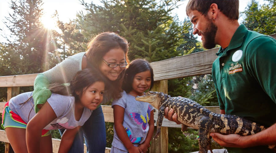 ZooAmerica Animal Experience