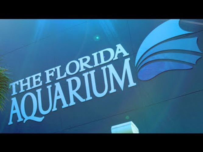 Welcome to The Florida Aquarium