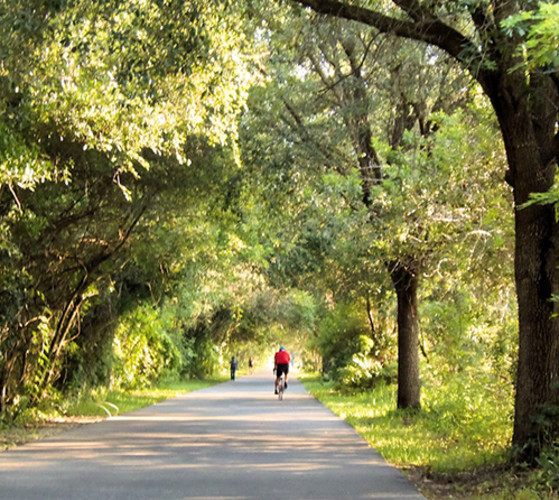 Upper Tampa Bay Trail