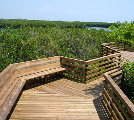Upper Tampa Bay Park