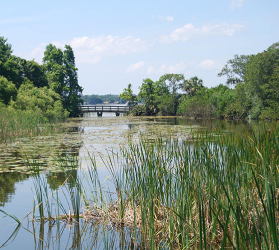 Boyd Hill Nature Preserve Lake Maggiore Environmental Education