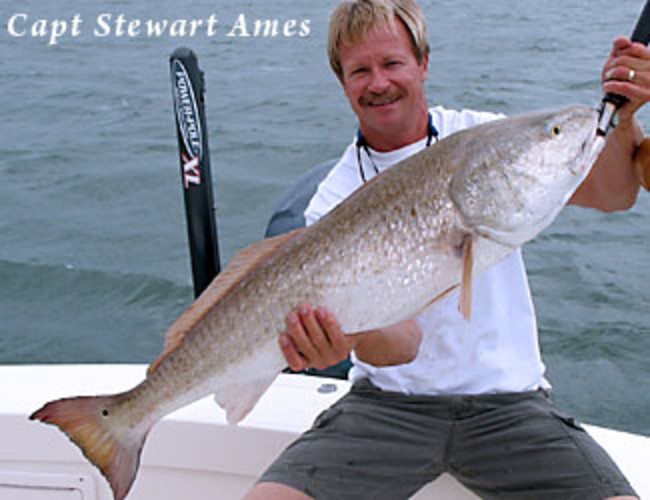 Gone Fishing Charters