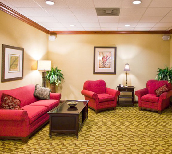 Holiday Inn Express Suites Tampa Fairgrounds