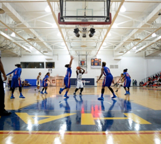 Hillsborough Community College Athletics