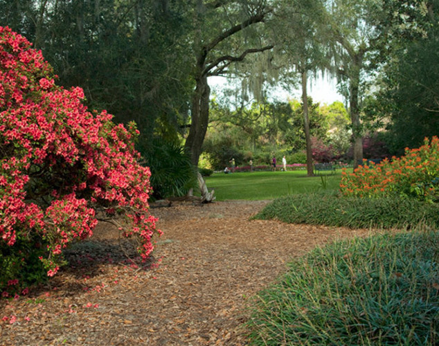 Bok Tower Gardens