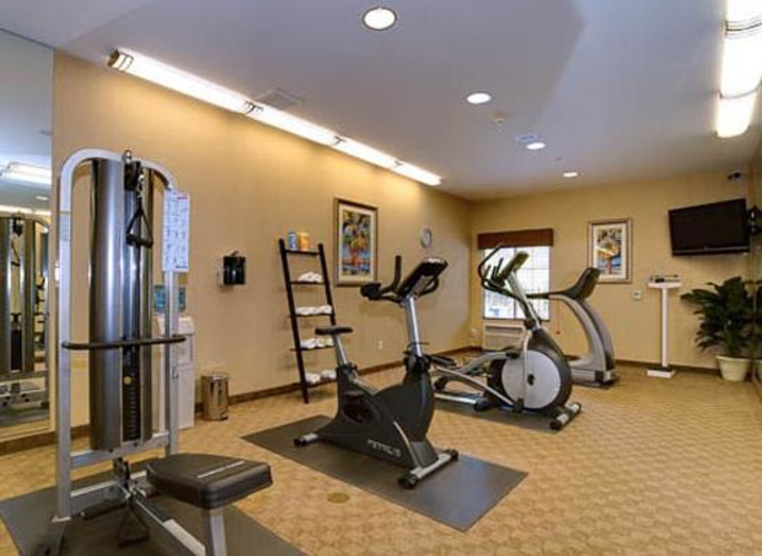 Holiday Inn Express Tampa North