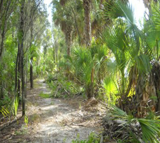 Mckay Bay Nature Park