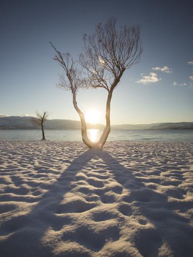 Snowy Beach