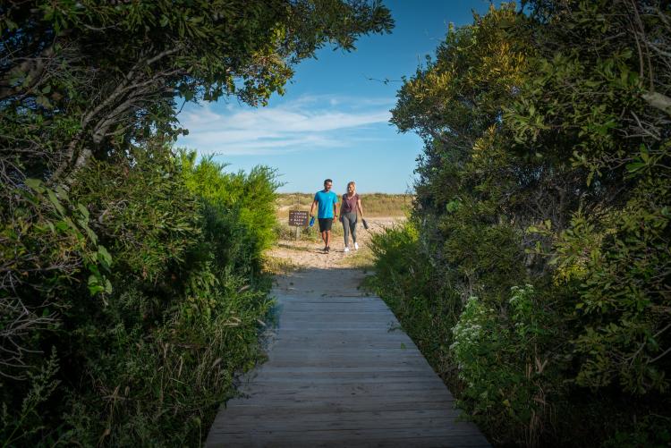 Nature Attractions Nature Activities In Kure Beach