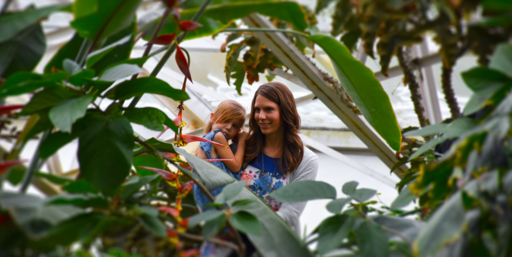 Spring Break at the Botanical Conservatory