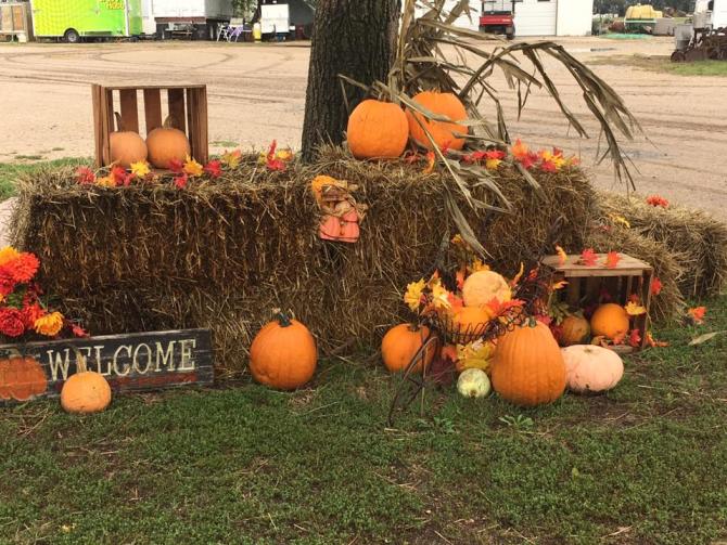 Pumpkin patches, corn mazes, and fall family fun in Wichita