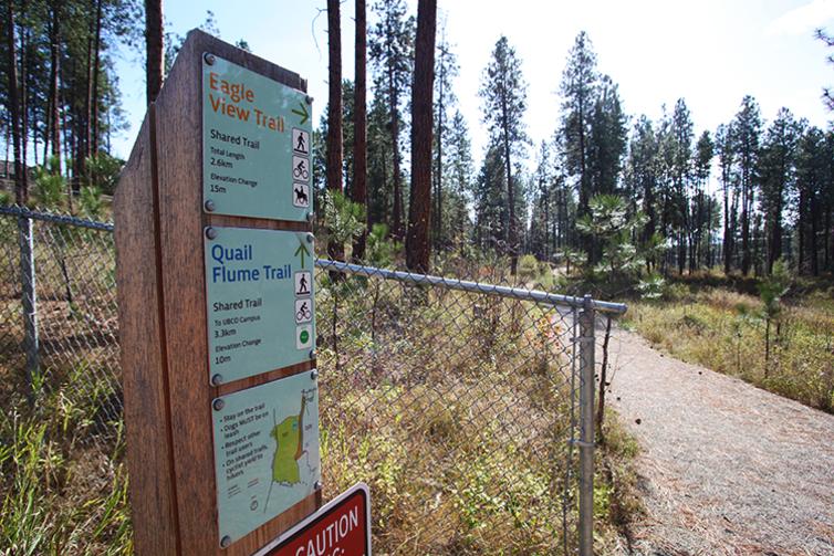 Eagle View & Quail Flume Trail