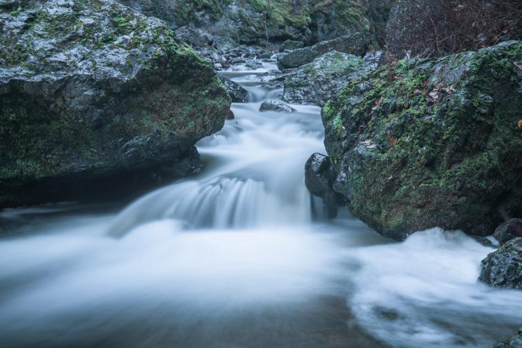 Bear Creek Park