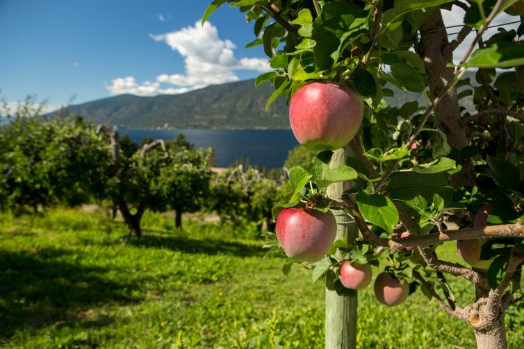 Farms, Orchards and Gardens