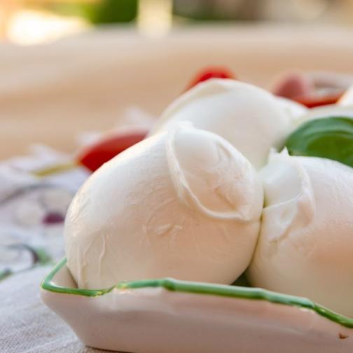 Explore Nature's Bounty at Farms & Markets in Longmont, Colorado