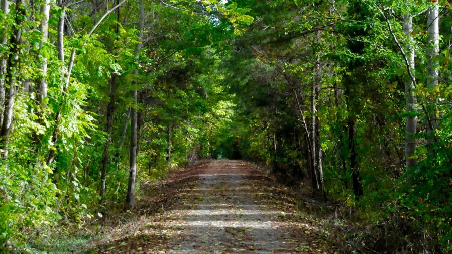 Thermal Belt Rail Trail