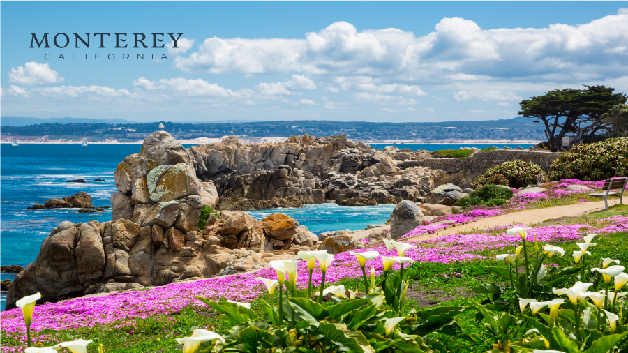Pacific Grove, CA Zoom Background