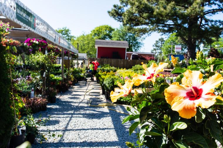 Lee's Produce