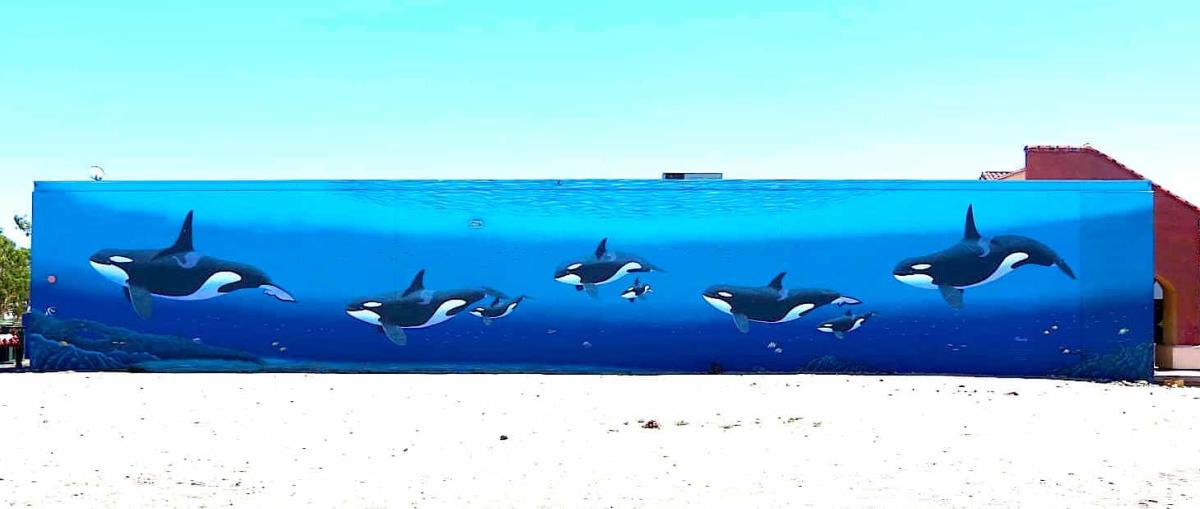 Mural of family of orca whales