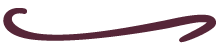 Separator Line - Graphic - Burgundy