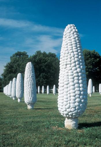 Field of Corn vertical