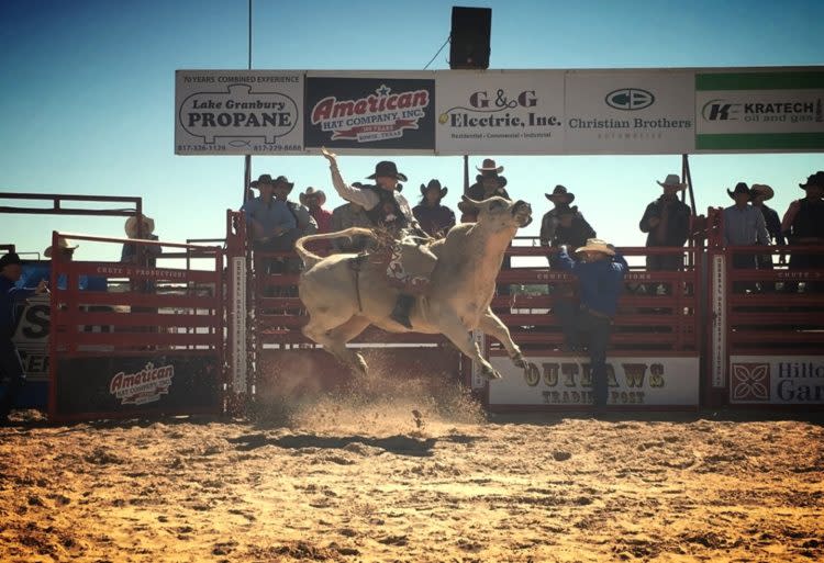 bull-750x513.jpg