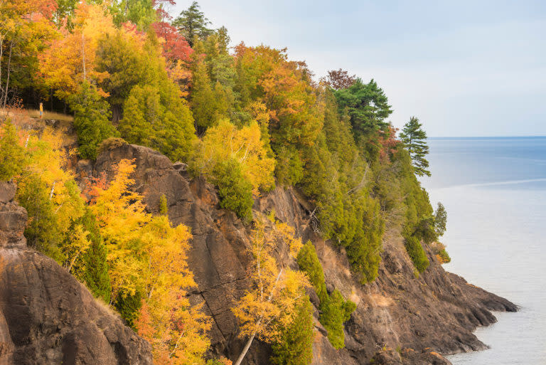 Tree covered cliffs with fall foliage 