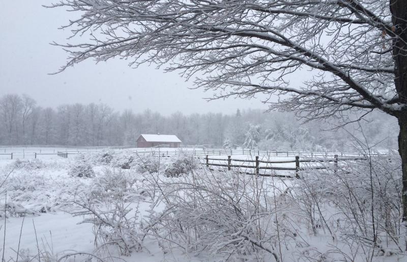 mountain-horse-farm-naples-winter-scenic